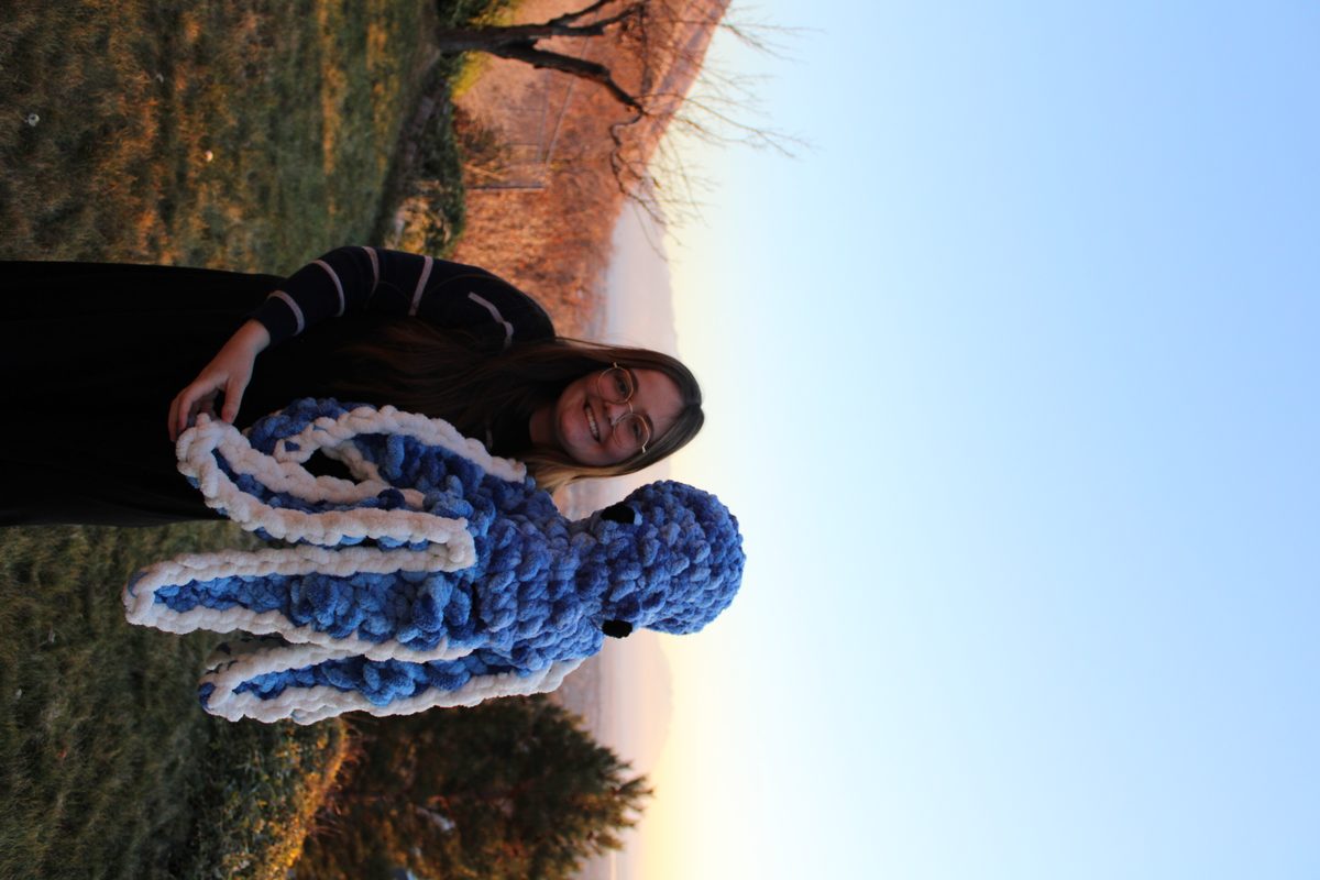 Handmade Giant Octopus Plushie image 3
